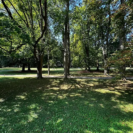 Rezidencia Opera - Bizet *